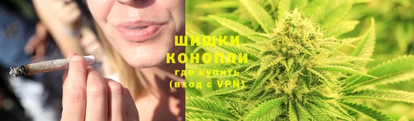 скорость Гусев