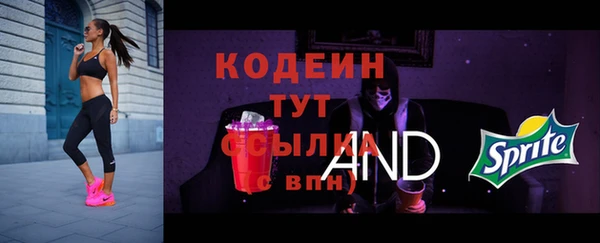 дмт Гусь-Хрустальный