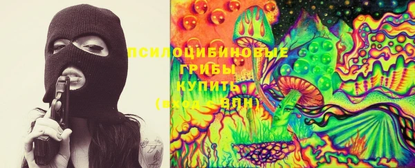 дмт Гусь-Хрустальный