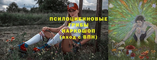 дмт Гусь-Хрустальный