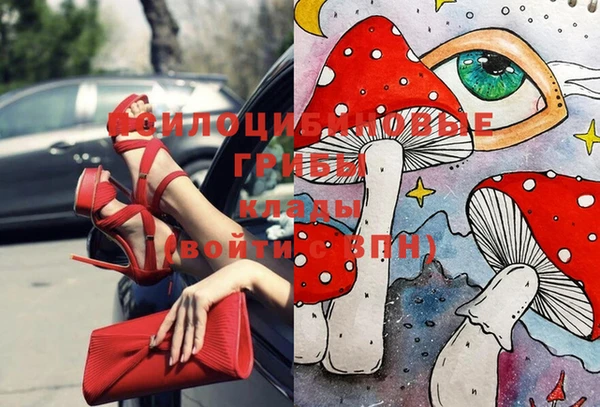 дмт Гусь-Хрустальный