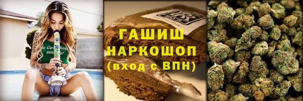скорость Гусев