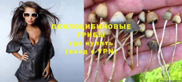 скорость Гусев