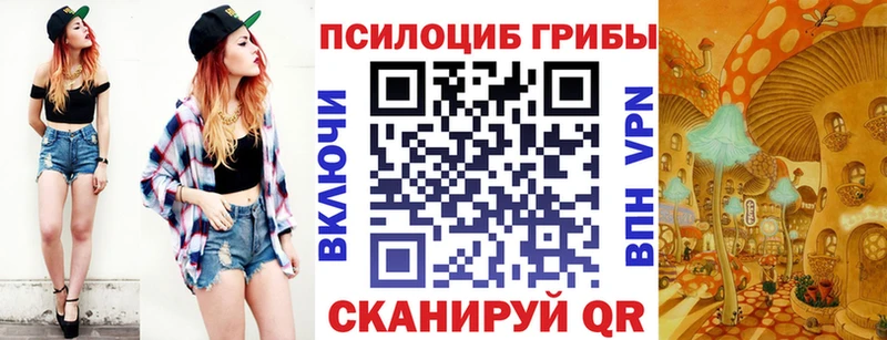 Псилоцибиновые грибы мухоморы  ОМГ ОМГ ТОР  Ессентукская 